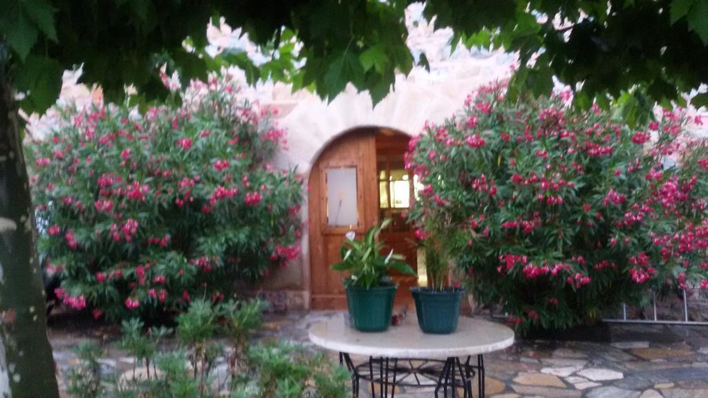 Kuko Hotel - Adults Only Oronoz-Mugaire Kültér fotó